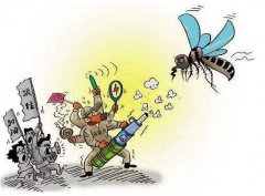  专业除虫公司的科学灭蚊蝇攻略