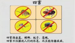 广州除四害灭蟑螂的有效的方式有哪些