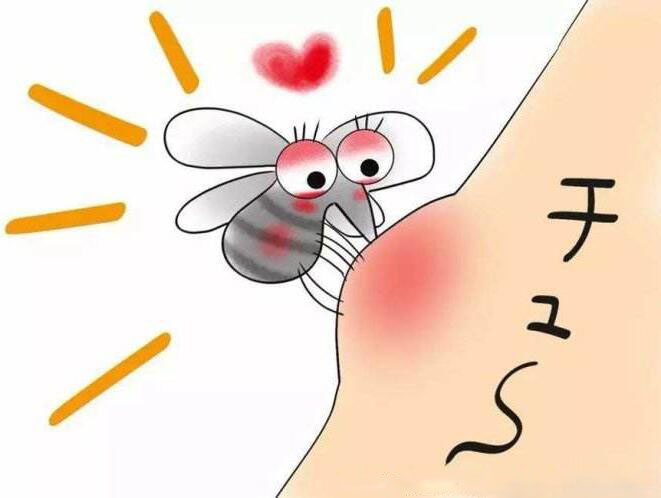广州灭蚊公司告诉你蚊子爱叮哪些人